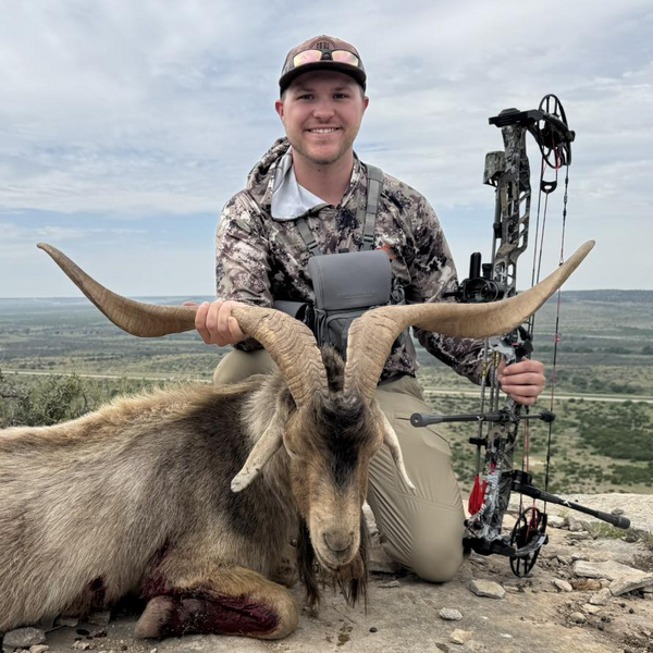 Texas Free-Range Hunting Trips